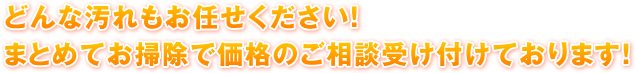 どんな汚れもお任せください！まとめてお掃除で価格のご相談受け付けております！